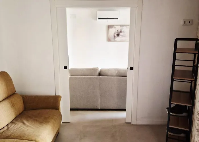 Catedral فالنسيا